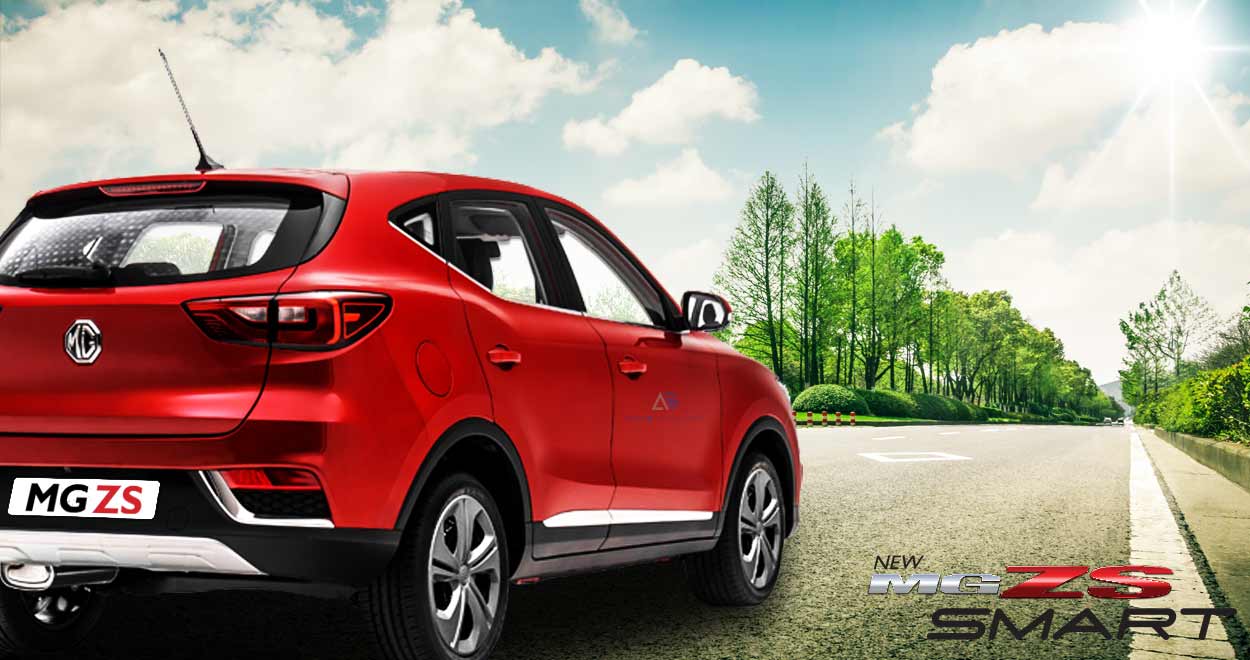 Mg zs model deals